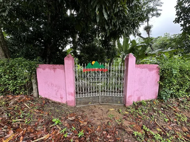 Imagem 6: Sítio de 8 ha, com mansão de 04 suítes, varanda com churrasqueira, piscina e ter
