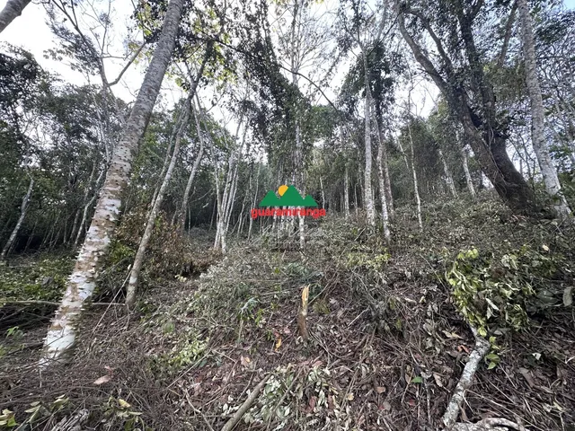 Imagem 8: Gleba com 1.074,04 m², a 7,4 km do Centro de Guaramiranga/CE