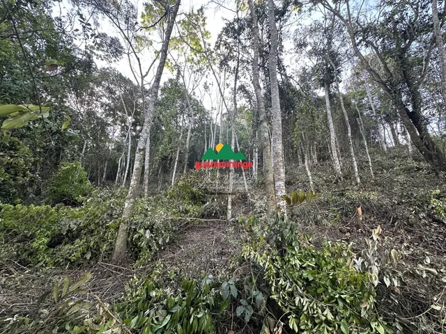 Imagem 11: Gleba com 1.074,04 m², a 7,4 km do Centro de Guaramiranga/CE