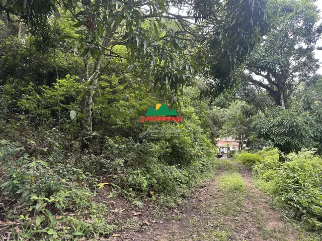 Imagem 3: Gleba em Pacoti com 956,80 m² com matricula
