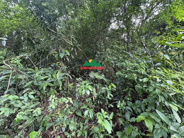 Imagem 6: Gleba em Pacoti com 956,80 m² com matricula