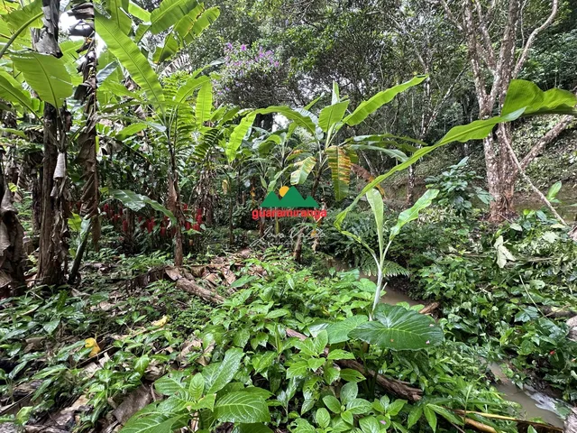 Imagem 4: Sítio com 0,9049ha com casa de 330m², poço profundo e vista para montanhas em Gu