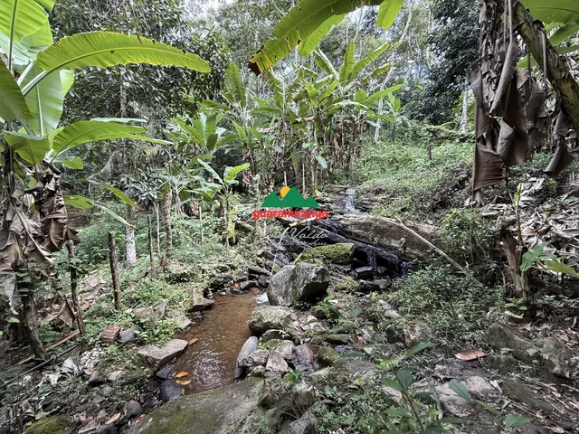 Imagem: Sitio de 3 Ha com Uma Nascente e Muitas