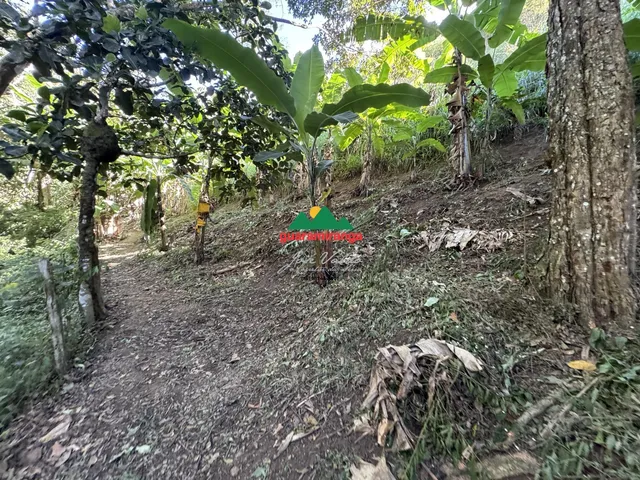 Imagem 5: Vista absurda, nascentes e poço: o terreno que você procurava em Guaramiranga