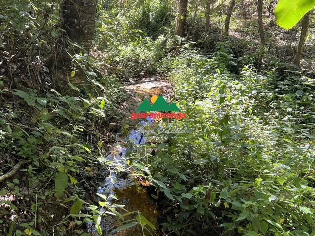 Imagem 11: Vista absurda, nascentes e poço: o terreno que você procurava em Guaramiranga