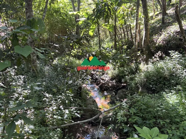 Imagem 12: Vista absurda, nascentes e poço: o terreno que você procurava em Guaramiranga