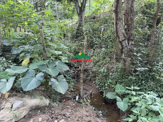 Imagem 13: Vista absurda, nascentes e poço: o terreno que você procurava em Guaramiranga