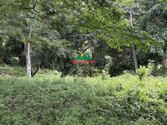Imagem 2: Gleba com 2.500,00 m² a venda com matrícula e asfalto Guaramiranga/CE