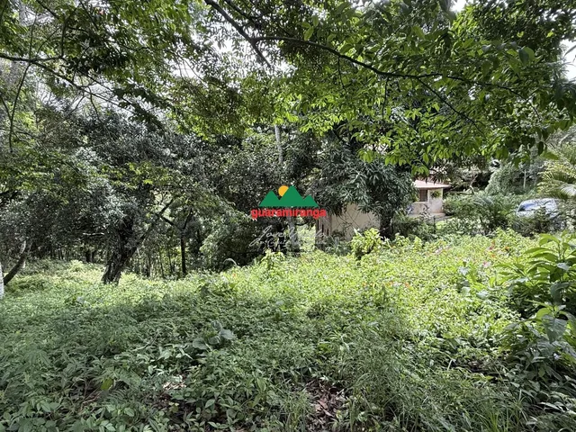 Imagem 5: Gleba com 2.500,00 m² a venda com matrícula e asfalto Guaramiranga/CE