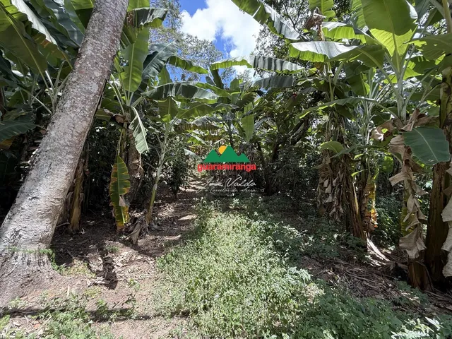 Imagem 11: Sítio de 6,43 hectares com 3 estábulos e vista em Mulungu/CE