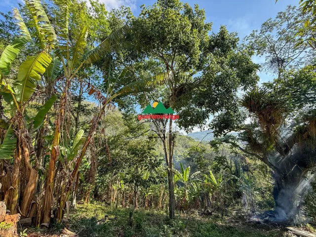 Imagem 13: Sitio com 5,16 ha com duas casas para reforma, área plana e vista panorâmica em
