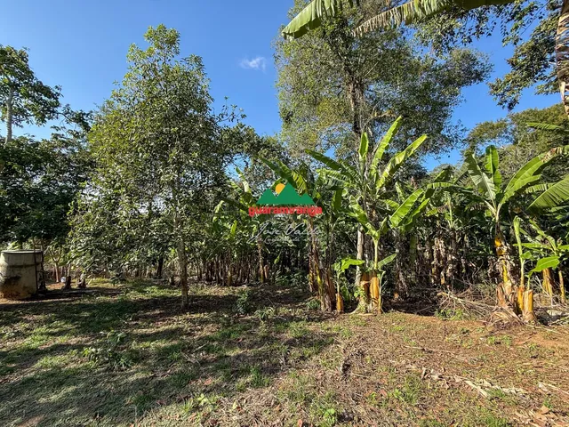 Imagem 16: Sitio com 5,16 ha com duas casas para reforma, área plana e vista panorâmica em