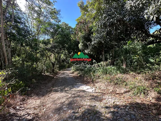 Imagem 5: Sítio privilegiado com 5,15 hectares em Pacoti!