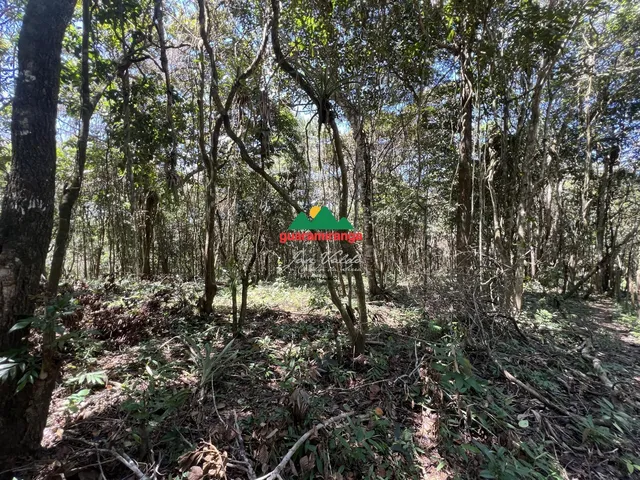 Imagem 6: Terreno com vista panorâmica em Mulungu