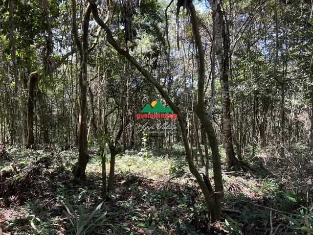Imagem 9: Terreno com vista panorâmica em Mulungu
