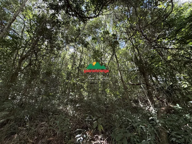 Imagem 8: Mais de 7 hectares com fácil acesso, próximo ao centro de Pacoti e ao lado de di