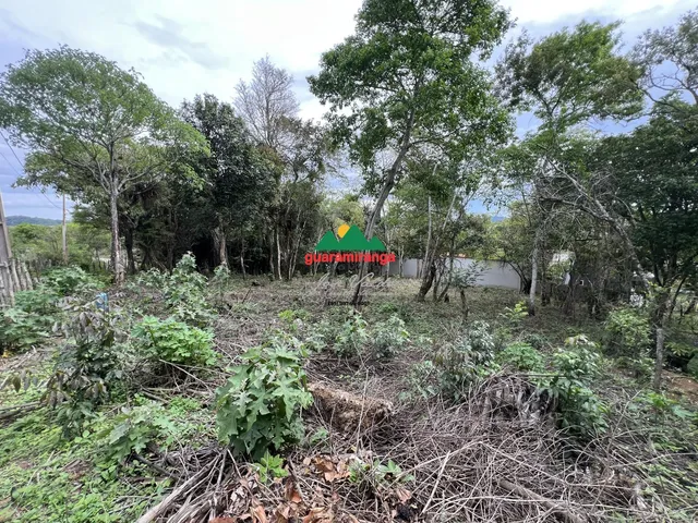 Imagem 5: TERRENO PLANO COM POÇO PROFUNDO
