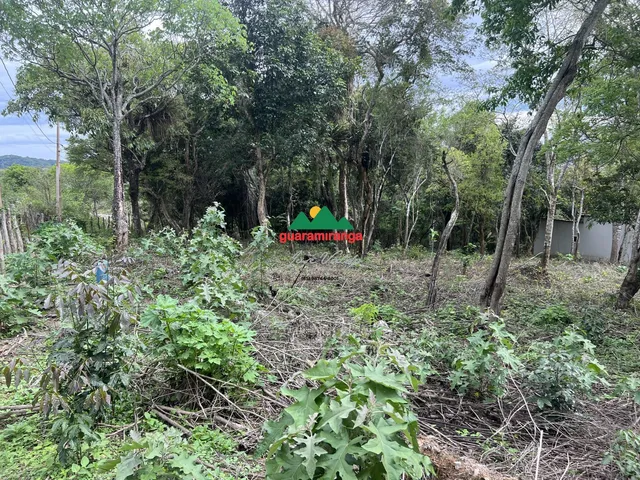 Imagem 8: TERRENO PLANO COM POÇO PROFUNDO