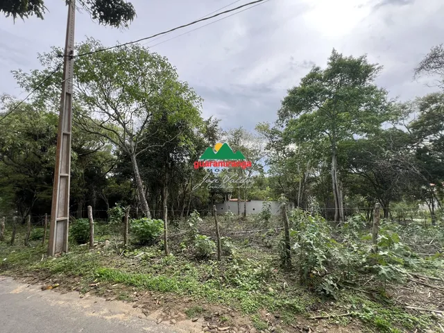 Imagem 11: TERRENO PLANO COM POÇO PROFUNDO