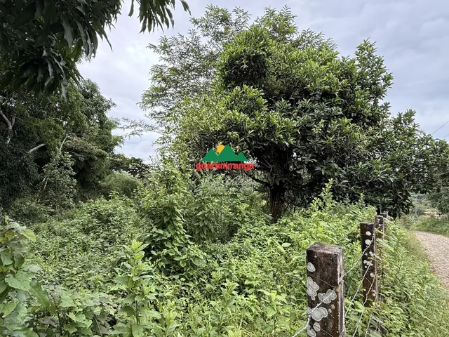 Imagem 4: ? Terreno perfeito para chalés, casa de campo ou investimento turístico em uma d