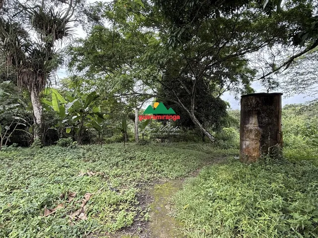 Imagem 7: ? Terreno perfeito para chalés, casa de campo ou investimento turístico em uma d