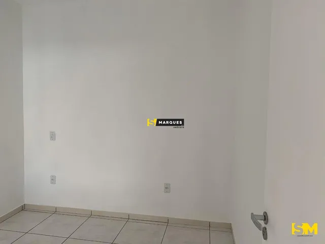 Imagem 2: Geminado / Paranaguamirim