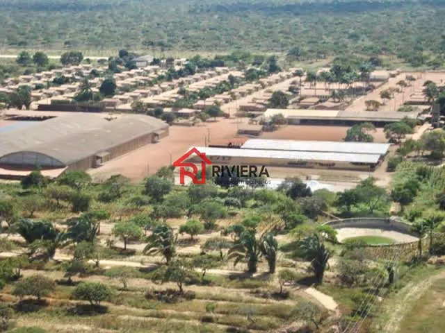 Imagem 2: Fazenda à venda no Centro de Pio IX-PI com 36.000 hectares de área - Não perca essa