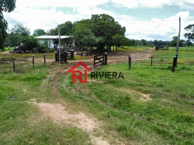 Imagem 3: FAZENDA RURAL em Cassilândia - MS, Centro