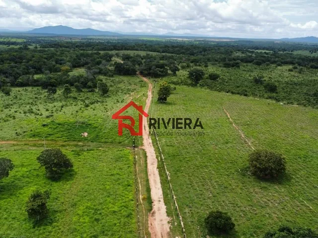 Imagem 6: FAZENDA RURAL em Cassilândia - MS, Centro