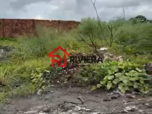 Imagem 8: Terreno Comercial à Venda em São Luís-MA, Bairro Tibiri 12.823,50 m² de área!