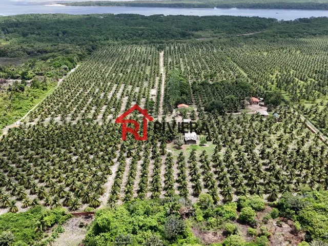 Imagem: TERRENO RURAL em Paço do Lumiar - MA, Iguaíba