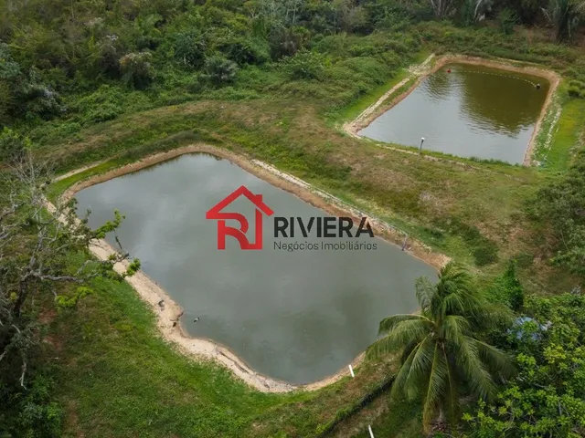 Imagem 12: Terreno Comercial em Bacabeira - Ma, Br135