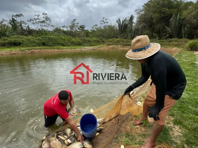 Imagem 13: Terreno Comercial em Bacabeira - Ma, Br135