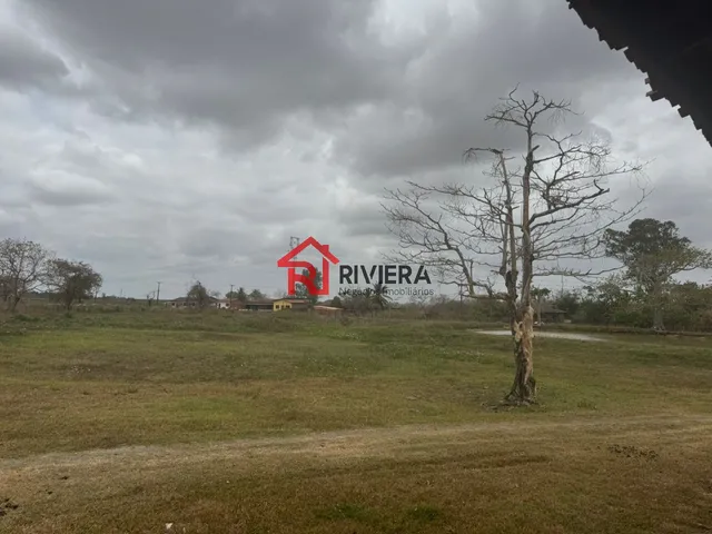 Imagem 9: Terreno Comercial em Bacabeira - Ma, Br135