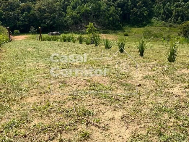 Imagem 6: SITIO DE 4.500m² PLANO