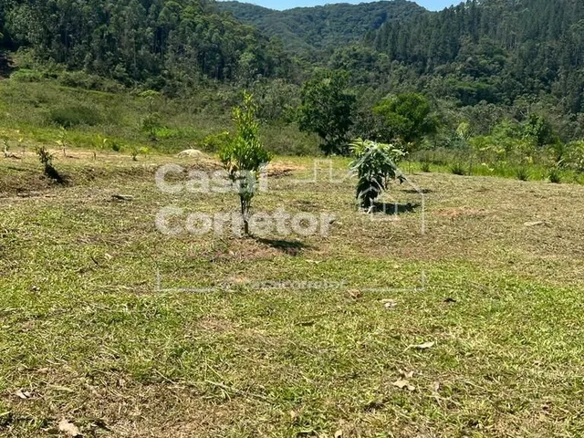 Imagem 9: SITIO DE 4.500m² PLANO