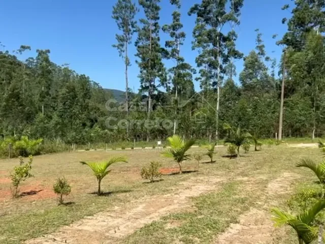 Imagem 12: SITIO DE 4.500m² PLANO