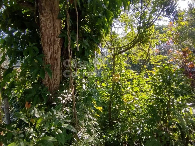 Imagem 7: TERRENO AMPLO EM CONDOMÍNIO FECHADO
