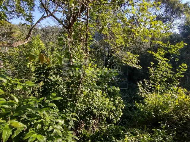 Imagem 13: TERRENO AMPLO EM CONDOMÍNIO FECHADO