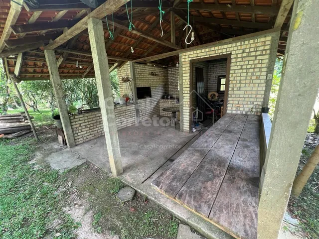 Imagem 4: LINDO SITIO COM 50.000m² COM PLANTAÇÕES