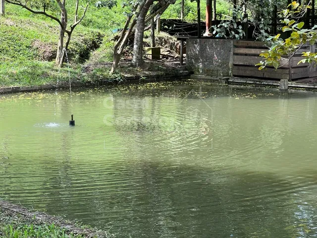 Imagem 10: LINDO SITIO COM 50.000m² COM PLANTAÇÕES