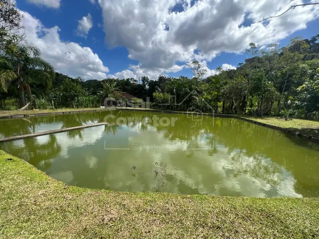 Imagem 16: LINDO SITIO COM 50.000m² COM PLANTAÇÕES