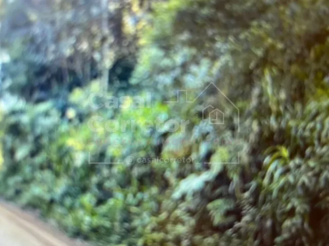 Imagem 7: Terreno à venda no bairro São Pedro - Brusque/SC