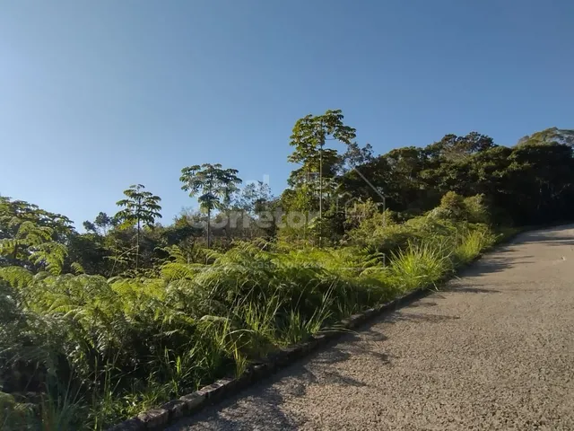 Imagem 6: TERRENO AMPLO DE 559m² EM CONDOMÍNIO