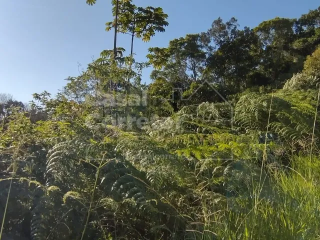 Imagem 14: TERRENO AMPLO DE 559m² EM CONDOMÍNIO