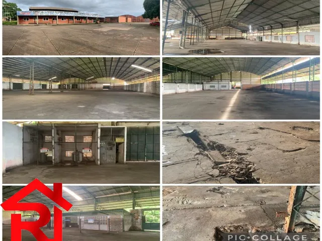 Imagem 6: GALPAO COMERCIAL em SÃO LUÍS - MA, MARACANÃ