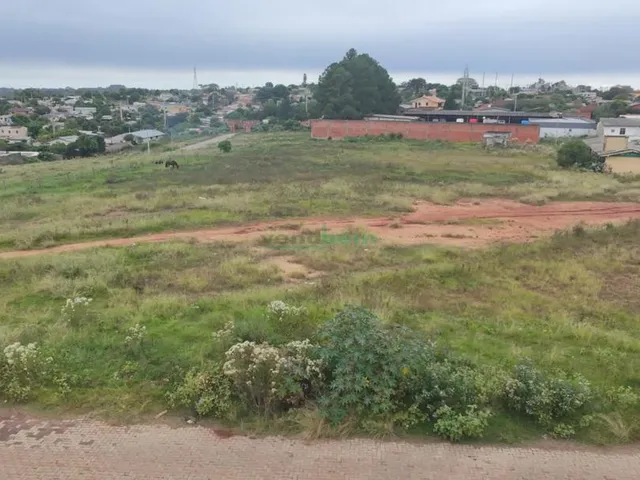 Imagem 4: Excelentes terrenos na Quinta