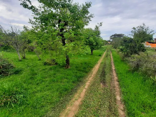 Imagem 12: Vendbem Vende e Aluga