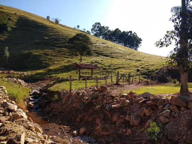 Imagem 4: Fazenda à venda no bairro Macacos - Silveiras/SP