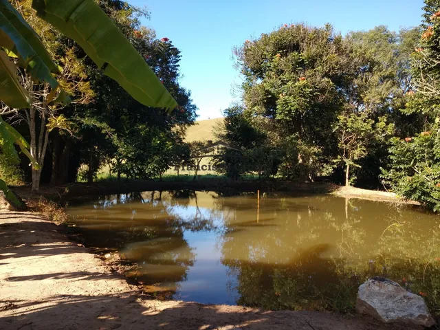 Imagem 7: Fazenda à venda no bairro Macacos - Silveiras/SP